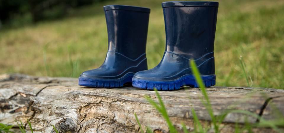 Botas